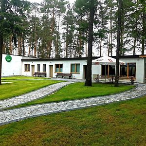 Borowik Milcz